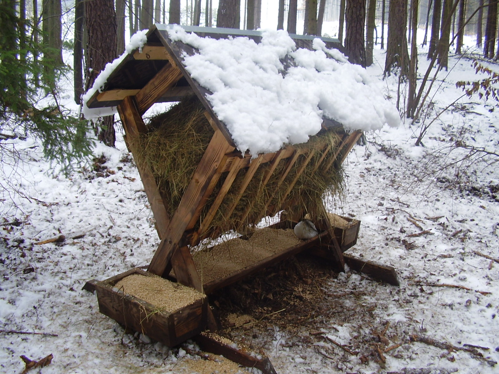 záloha foto Olymp 073